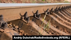 Ukraine -- ukrainian railway, grain, road, Kyiv, 27Jun2015