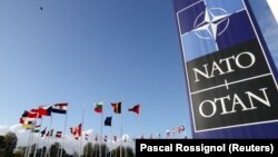 Сьцягі краін-удзельніц NATO ля штаб-кватэры арганізацыі ў Брусэлі 